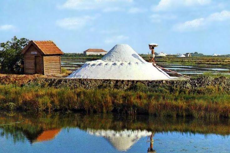 Apartamento Aveiro Centro Dış mekan fotoğraf